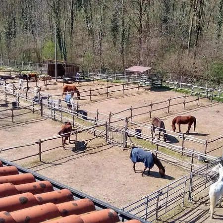 Appartamento Casa Noa, Con Giardino Privato