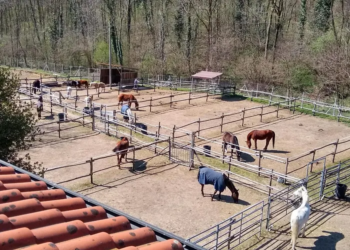 아파트 Casa Noa, Con Giardino Privato